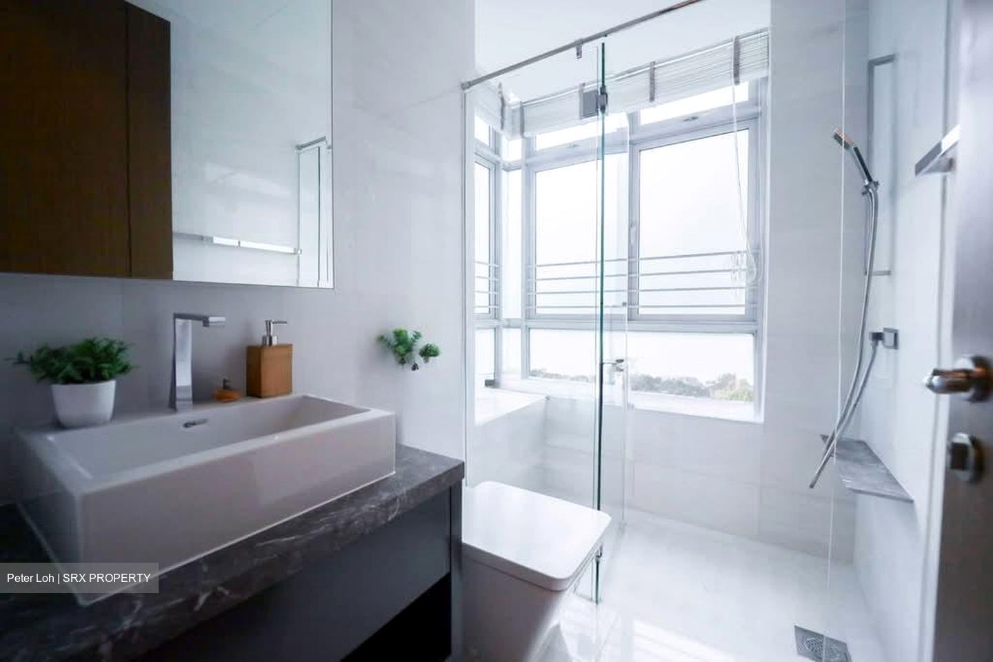 RESIDENCES AT EMERALD HILL (D9), Apartment #597106211